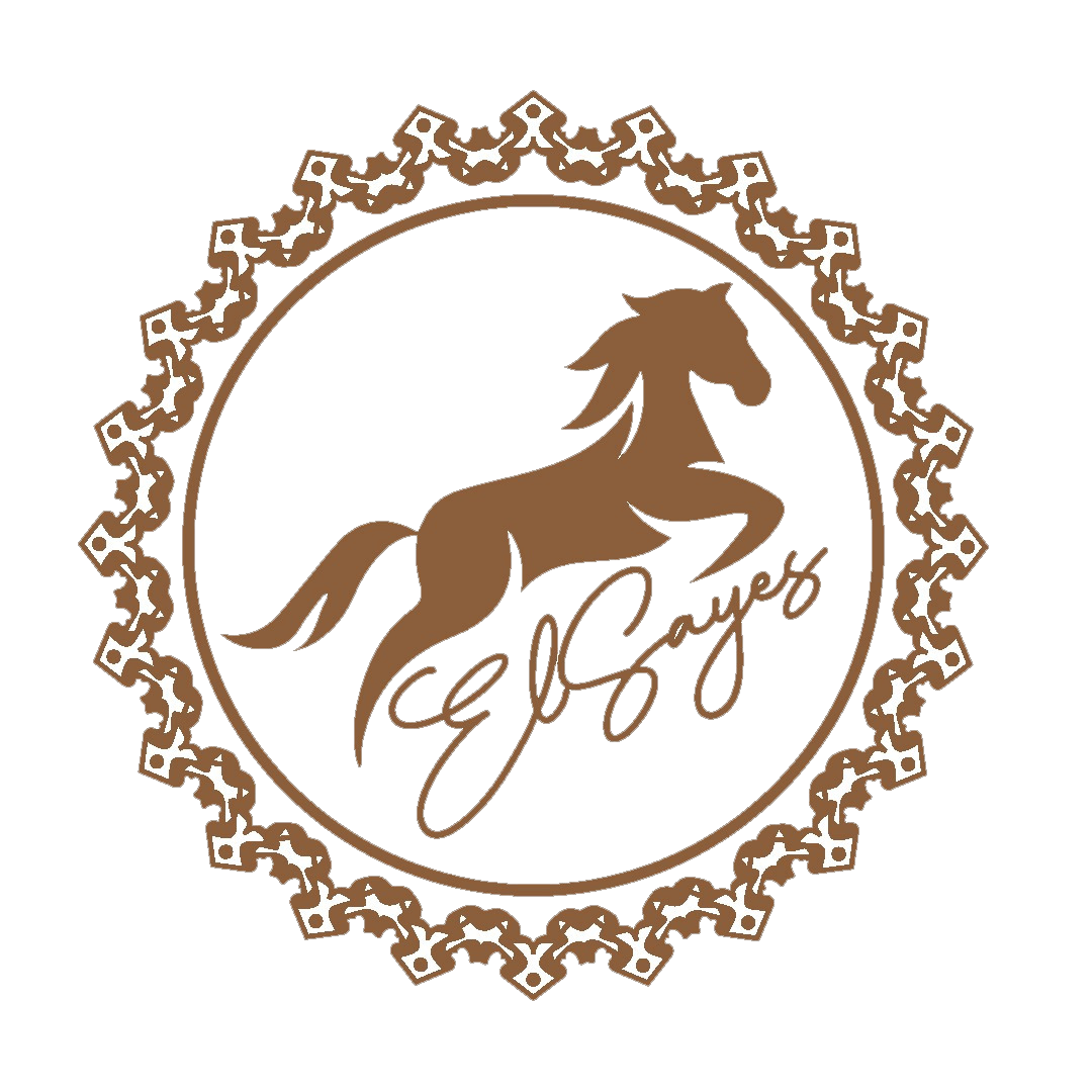 Your Image Description